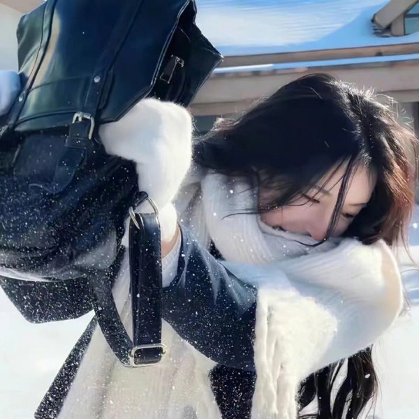 科搜研之女第23季